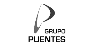GRUPO PUENTES